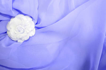 Arrayの写真素材