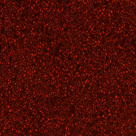 Black and red abstract creative inferno netting template background textureの写真素材
