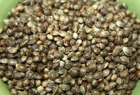 Marijuana seeds in a bowl close up. Hempseeds texture photo.の写真素材