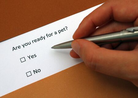 Are you ready for a pet?の写真素材