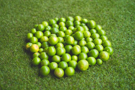Top view of Green Lime pile on artificial grass.の写真素材