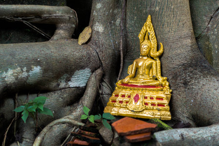 Buddha statue leave under the treeの写真素材