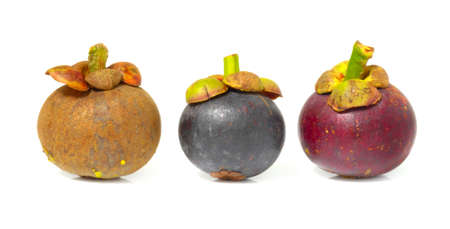 mangosteen on white backgroundの写真素材