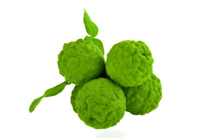 Bergamot on white backgroundの写真素材