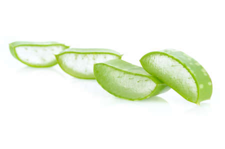 Aloe Vera isolated on white backgroundの写真素材