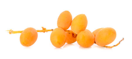 fresh Palm dates on the white background.の写真素材