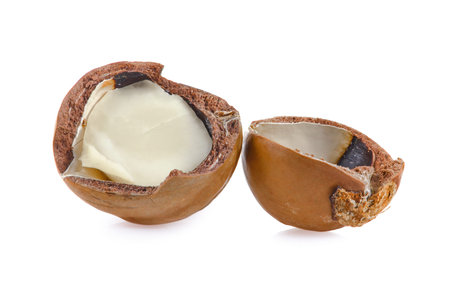 Macadamia nuts on white background.