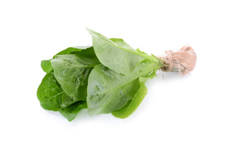 Cos Lettuce isolated on white backgroundの写真素材