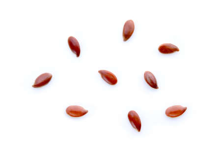 seed flex isolated on white backgroundの写真素材