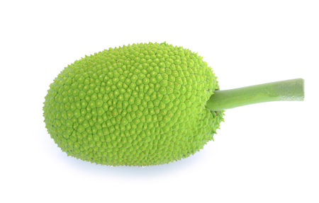 Artocarpus altilis isolated on white backgroundの写真素材