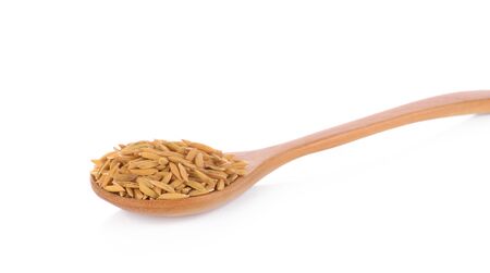 rice on white backgroundの写真素材