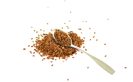 seed flex on white backgroundの写真素材