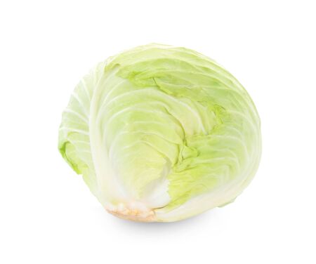 Cabbage isolated on white backgroundの写真素材