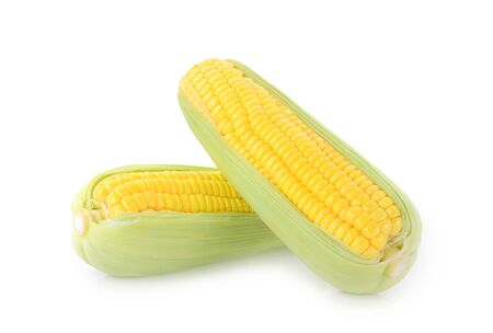 sweet corn isolated on white backgroundの写真素材