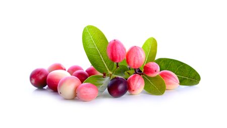 bengal-currants, carandas-plum, on a white backgroundの写真素材