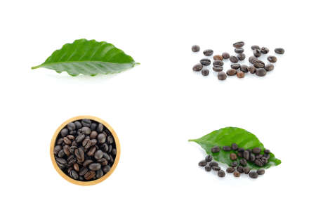 coffee collection isolated on white background.の写真素材
