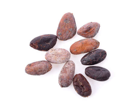 cocoa beans on white backgroundの写真素材