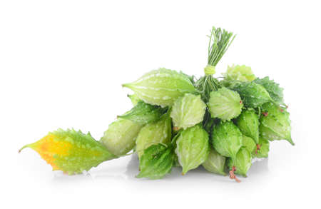 bitter melon, Bitter gourd on white background.の写真素材