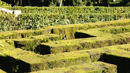 Detail of Horta s Labyrinth, Barcelona