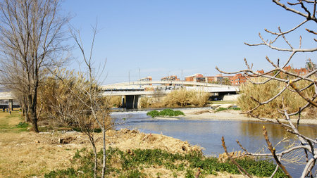 River Besos in Sant Adrian, of the Besos in the Fluvial Park of the Besos, Barcelonaの写真素材