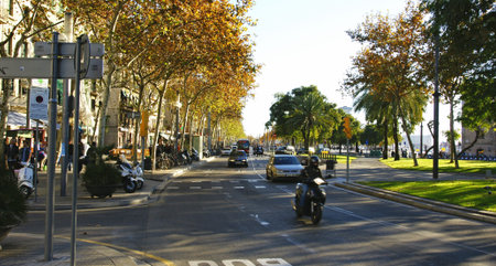 Street in the Barceloneta, Barcelona