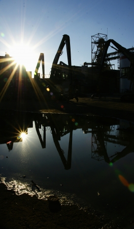 Cranes reflected in a puddleの写真素材