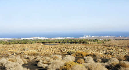 Volcanic landscape with sea in Lanzarote, Canary Islandsの写真素材