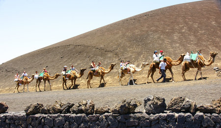 Tourists walking on camels, Lanzarote, Canary Islandsのeditorial素材