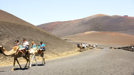 Tourists walking on camels, Lanzarote, Canary Islandsのeditorial素材