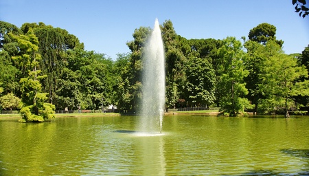 Water column in the pond at the Crystal Palace, El Retiro, Madridの写真素材