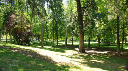 El Retiro Park in Madridの写真素材