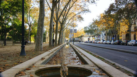 pond with dry leaves on the walk of Picasso, Barcelonaのeditorial素材