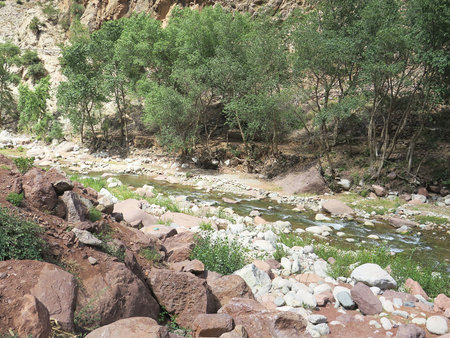 Ubrica River Valley, Morocco, Africa   の写真素材