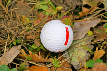 Ball on a golf course in the Montseny, Barcelonaの写真素材