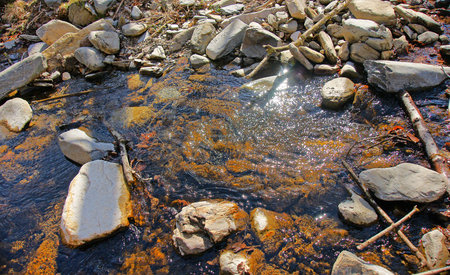 Creek in Santa Fe del Montseny, Barcelona