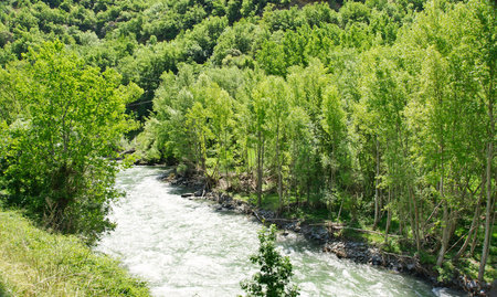 Noguera Pallaresa river, Lleida, Catalonia, Spainの写真素材