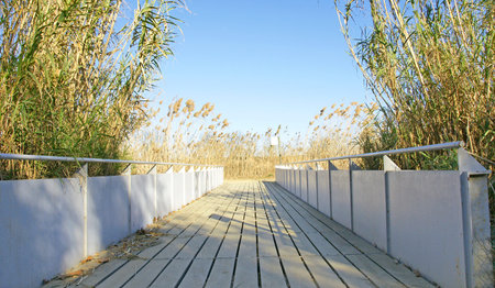 Bridge over irrigation canal in the Delta del Llobregat, Barcelonaの写真素材
