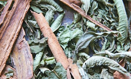 Medicinal herbsの写真素材