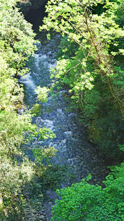 The Beyos Ponga Gorge; Principality of Asturias, Asturias, Spain, Europe