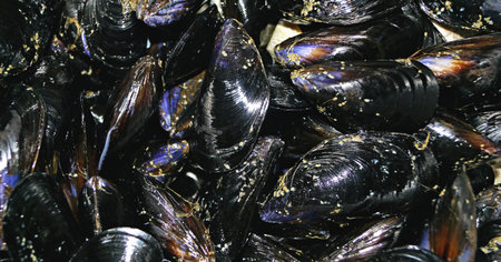 Pot of steamed mussels with lemon slices