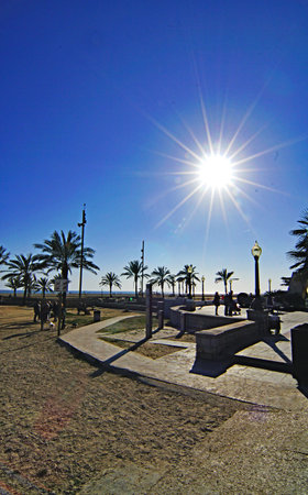 palm trees on the beach of the city of Alicante in Spainの写真素材