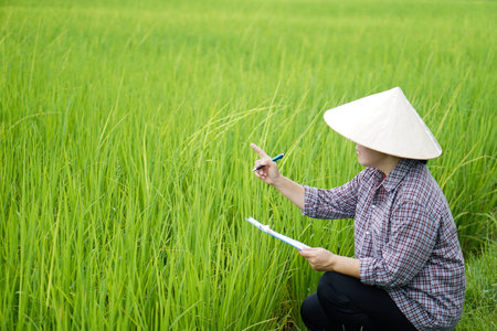 Asian woman wears Vietnamese hat, plaid shirt, holds paper clipboard, checking growth and disease of...