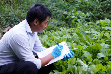 Asian man holds paper clipboard and write on it during checking growth and diseases of vegetable in...