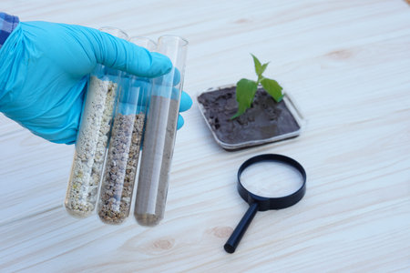 Closeup hand wears blue glove hold test tubes that contain sample soil. Concept, soil quality...