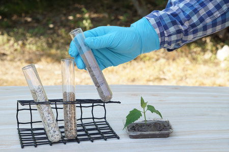 Closeup hand wears blue glove hold test tubes that contain sample soil. Concept, soil quality...