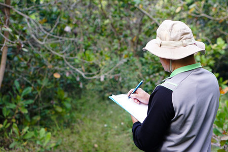 Asian man botanist is at forest to survey botanical plants, holds paper clipboard. Concept , Survey ,research botanical plants. Forest and environment conservation.の写真素材