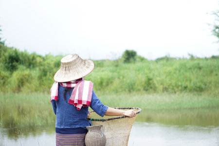 Back view of Asian woman wears hat, loincloth, blue shirt, holds equipment for catching fish at the pond. Concept, rural slow lifestyle in Thailand, earn living from nature.の写真素材