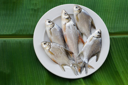 Raw fish for cooking on white plate, green leaf background. Concept, edible local freshwater fish...