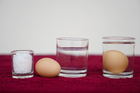 Close up science experiment about eggs in water, compare the density by adding salt into water, soak eggs in transparent glass. Concept, easy science activity for learningの写真素材