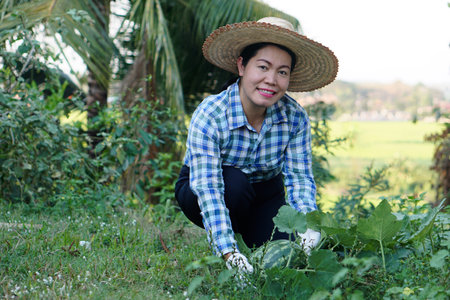 Happy Asian woman gardener wears hat, plaid shirt and gloves  working in garden, picking watermelon fruit. Concept, Satisfied in agricultural product. Home garden.の写真素材
